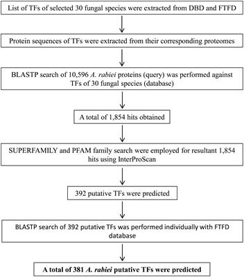 Transcription Factor Repertoire of Necrotrophic Fungal Phytopathogen Ascochyta rabiei: Predominance of MYB Transcription Factors As Potential Regulators of Secretome